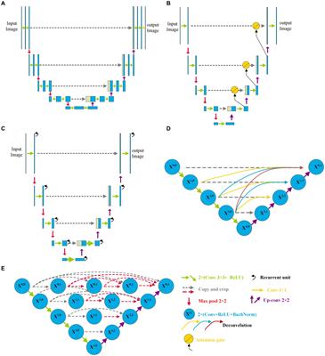 Neighbored-attention U-net (NAU-net) for diabetic retinopathy image segmentation